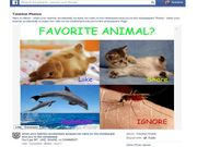 Facebook Looking to Remove Spams with Updated New Feed Algorithm