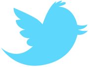 Twitter Beta for Windows Phone 8.1 Reintroduces Integration Features