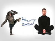Brain network that makes humans smarter than chimps found