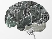 New Technology May Manufacture Human Organs in Future