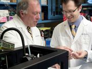 3D-Printed Cartilage for Tracheal Replacement Developed