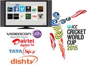 TV makers, DTH operators look to cash in on ICC World Cup