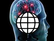 Brain's GPS System Influenced by Environment's Shape