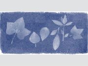 Google Dedicated Today's Doodle To The Woman Who Created The First Photograph