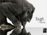 Top 10 Best Smartphones with Gorilla Glass Protection in India Under Rs 10,000