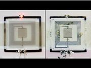 This Electronic Device can Self-Destruct