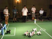 Using video Game to Train Robots