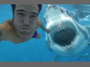 Aussie surfer's selfie with shark goes viral, turns out fake
