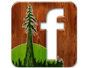 Facebook 'discovers' a new plant species