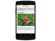 New app to identify bird from its chirp