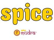 Spice Digital launches mobile wallet service 'SpiceMudra'