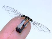 First insect-size robot that can fly, swim