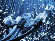 Govt unlikely to meet optical fibre roll-out deadline:ParPanel