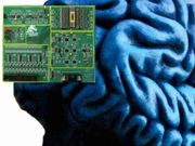Brain-like computer chip developed by Chinese scientists