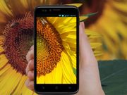 Flat 50% Off on these Budget Android Smartphones this MAKAR SANKRANTI AND LOHRI 2016