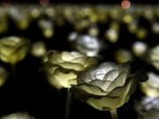 Hong Kong celebrated Valentine's Day with a Garden of 25,000 Roses that illuminate