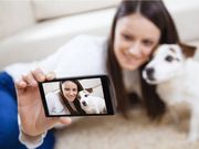 Microsoft's new app can identify your dog's breed