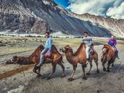 6 Cool Travel Apps for Anyone Planning A Trip!