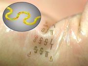 World's fastest New wearable circuits to revolutionise Internet of Things