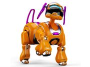 Virtual dog to teach robots to perform tasks intelligently