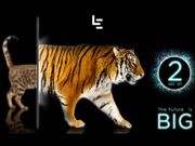 LeEco all set to bring Evolution of TV in India