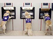 Demonetization: 5 Apps and Websites to Avoid Long Queues at ATMs and Banks