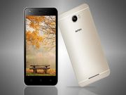 Intex aims at 40 % revenue from its accessories business: Report