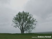 Samsung Galaxy Note 8's camera samples released