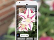 Pixel and Pixel XL now get Google Lens through Photos app