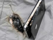 iPhone battery explodes again at Apple store; this time in Spain