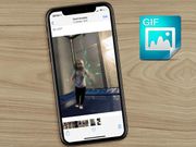 Here's a trick to turn live photos into animated GIFs on iPhones