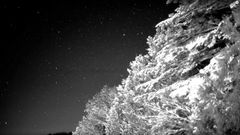 Canon's new CMOS sensor can capture stunning slow-mo shots in the dark