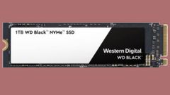 Western Digital launches new 4K-ready NVME SSD to boost gaming performance