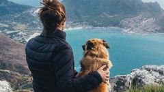 You won't believe what Amazon is planning next