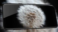 Lenovo Z5 camera samples emerge with ‘AI Dual Camera’ watermark