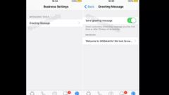 WhatsApp Business for iOS reportedly in works