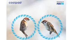 Coolpad Note 8 with dual camera setup will launch in India on 15th of October