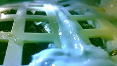 First grown seed on Moon dies as temperature plunges to -170C