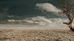 New technology will predict droughts, bushfires five months in advance