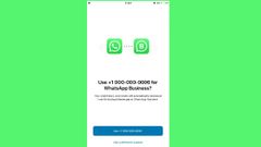 WhatsApp Business now available for iPhones: Click here to download and install