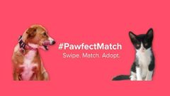 Tinder launches #PawfectMatch to amplify pet adoption in India