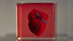 Scientists develop 3D-printed heart using living cells