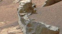 Scientist claims NASA image shows penguin lurking on Mars
