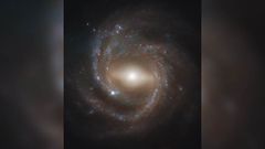 NASA Hubble Space Telescope Snaps Our Milky Way's Twin Galaxy