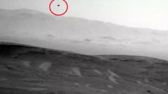 Did NASA Curiosity Rover Capture Bird-like Creature On Mars?