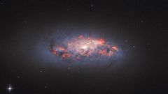 NASA Hubble Telescope Captures Spiral Galaxy 70 Million Light Years Away From Earth