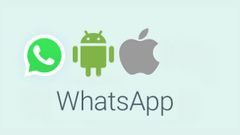WhatsApp Features That Every Android And iOS User Wishes For