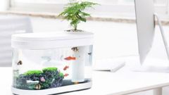 Xiaomi Fish Tank Goes Official: Can Be Powered By Power Bank