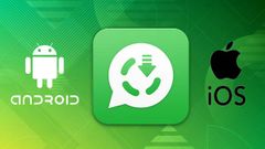 How to Save WhatsApp Status Images And Videos On Android, iPhone