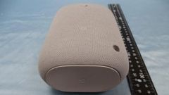 Upcoming Google Nest Smart Speaker First Look Is Out!